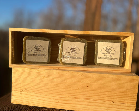 Aloe & Nettle Shampoo Bar